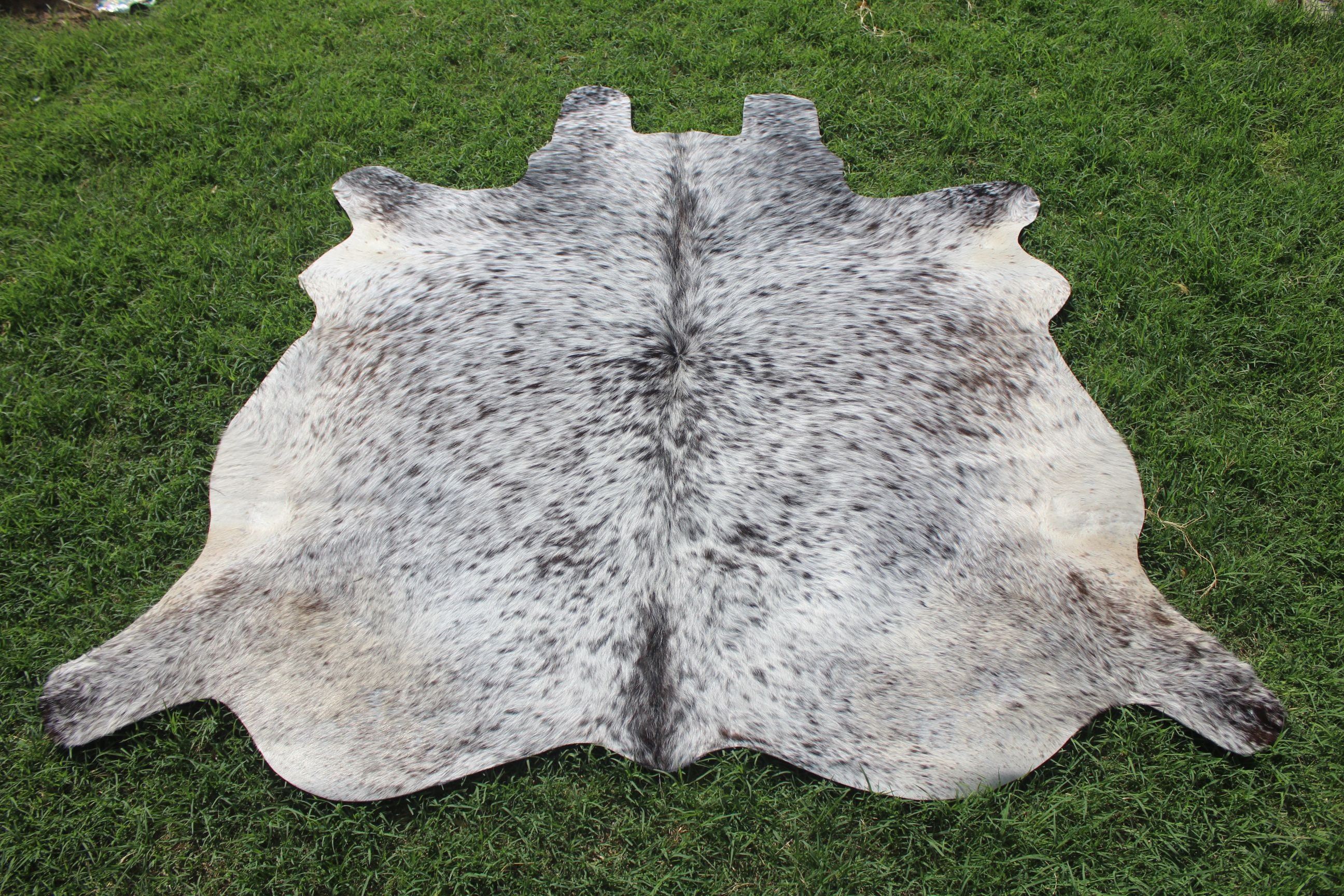 Amazing Tricolor Cowhide Rug Large Cowhide Rug Tricolor Cow Etsy