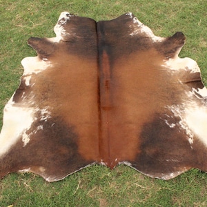 Op de afbeelding: Een bruin en wit koeienhuidkleed met een natuurlijk, gevlekt patroon. De huid is doormidden gevouwen, waardoor de onderkant van de huid zichtbaar is.
