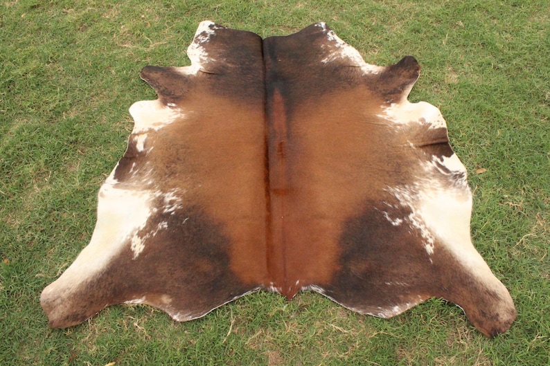 Op de afbeelding: Een bruin en wit koeienhuidkleed met een natuurlijk, gevlekt patroon. De huid is doormidden gevouwen, waardoor de onderkant van de huid zichtbaar is.