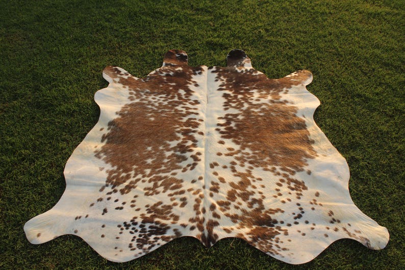 May include: A white and brown cowhide rug with a spotted pattern. The rug is laid out on a green grassy surface.