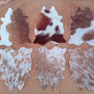 Mini Cowhide Coasters Real Cowhide Coasters Western Cowhide Coaster Leather Coasters