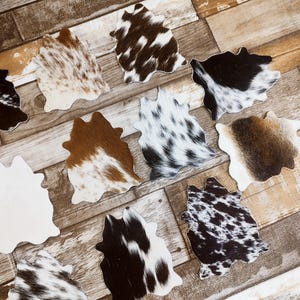 Cowhide Coasters Mini Cowhide Coasters Assorted Coasters Set of 6 Leather Coasters