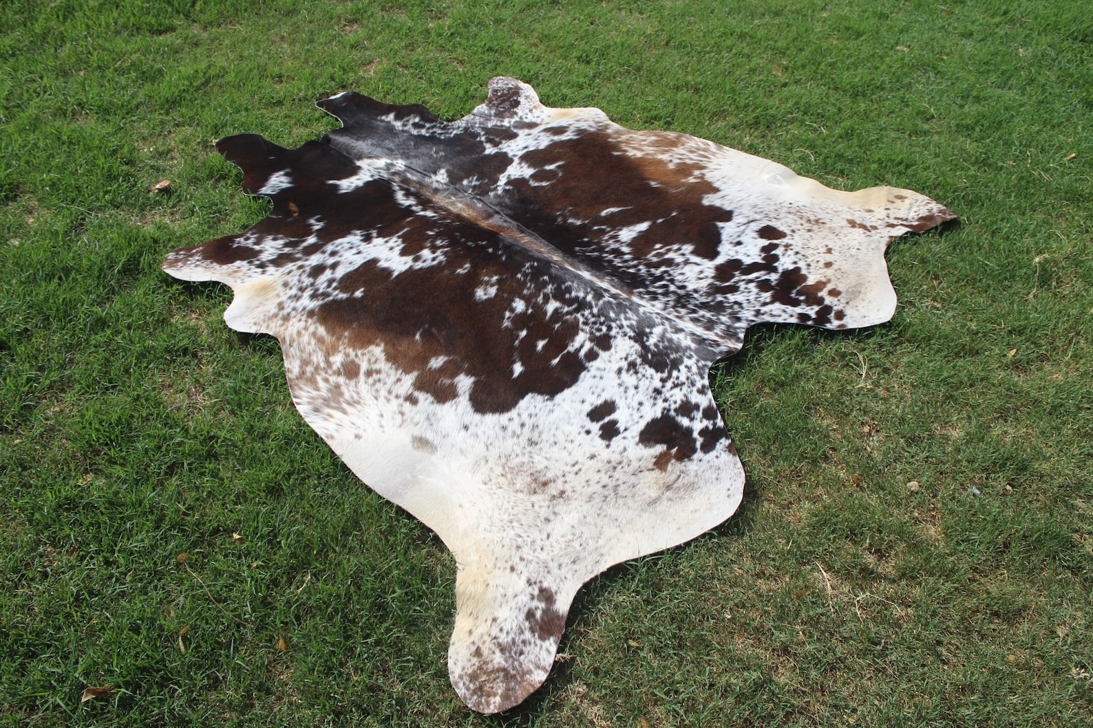 XL Cowhide Rug Amazing Tricolor Cowhide Rug Cow Skin Rug 6 X 6 Etsy