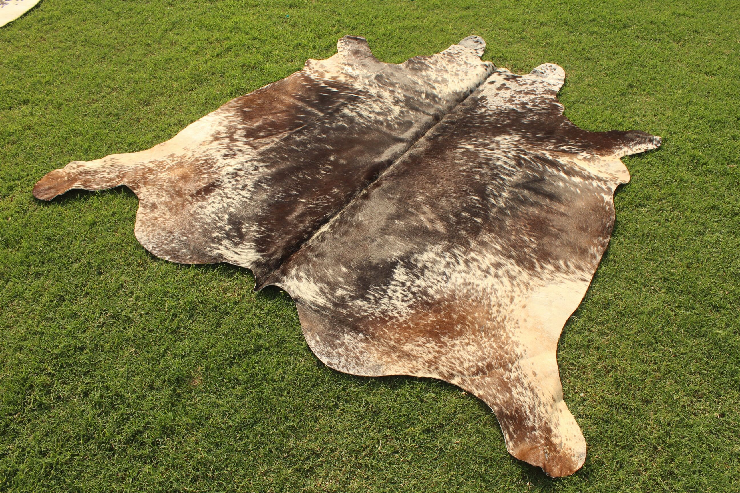 XL Cowhide Rug Amazing Tricolor Cowhide Rug Cow Skin Rug 6 x 6 Etsy