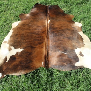 K&ouml;nnte beinhalten: Ein brauner und wei&szlig;er Kuhfellteppich mit einem nat&uuml;rlichen, rustikalen Look. Die Haut liegt flach auf einer gr&uuml;nen Grasfl&auml;che.