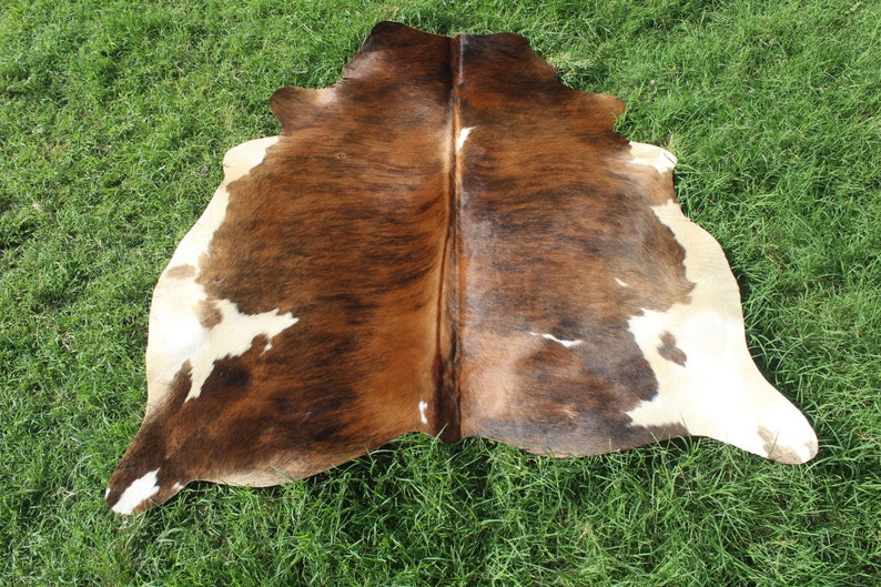 K&ouml;nnte beinhalten: Ein brauner und wei&szlig;er Kuhfellteppich mit einem nat&uuml;rlichen, rustikalen Look. Die Haut liegt flach auf einer gr&uuml;nen Grasfl&auml;che.