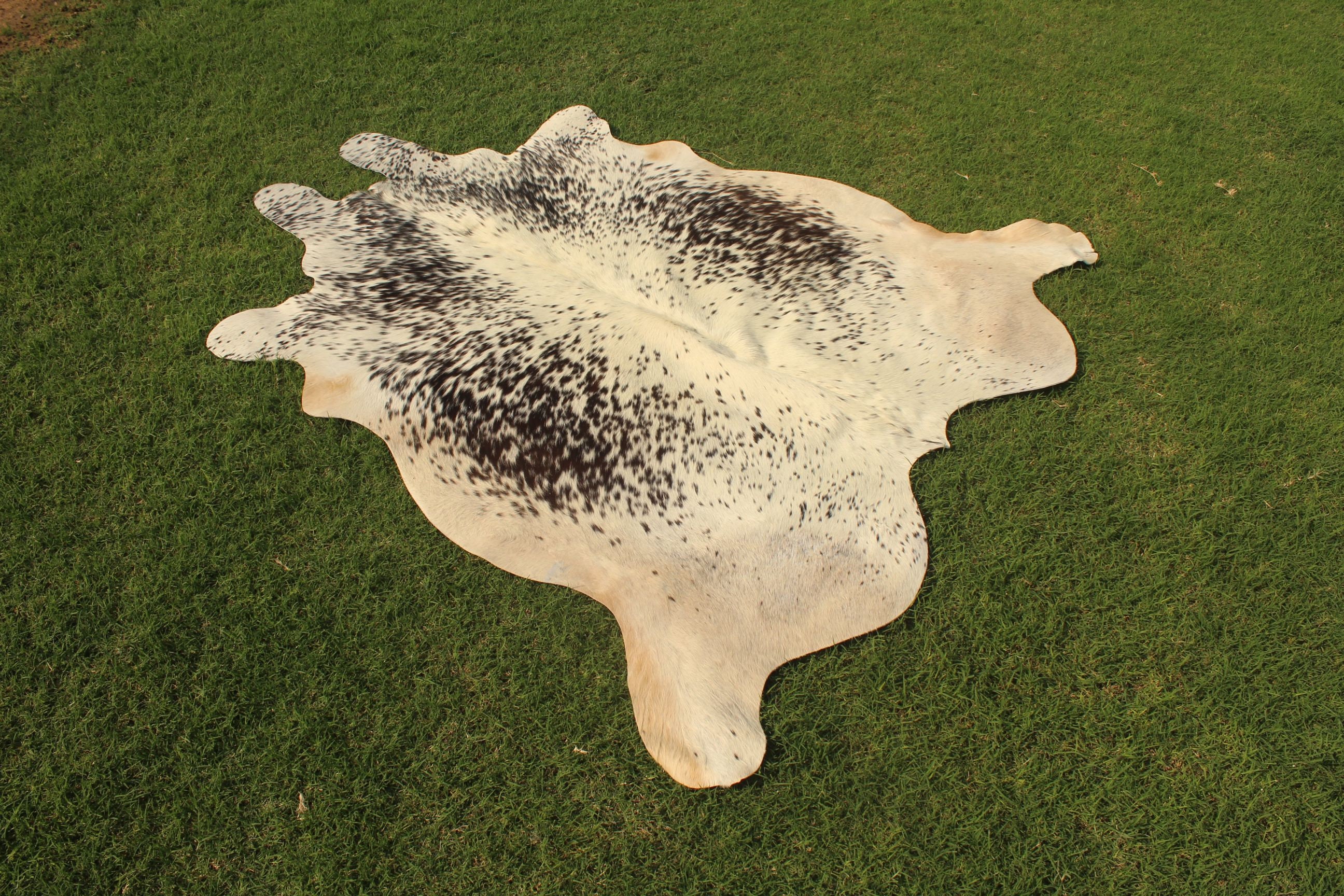 Tricolor Cowhide Rug Brazilian Cow Skin Rug Medium Cow Hide Area Rug 5 ...