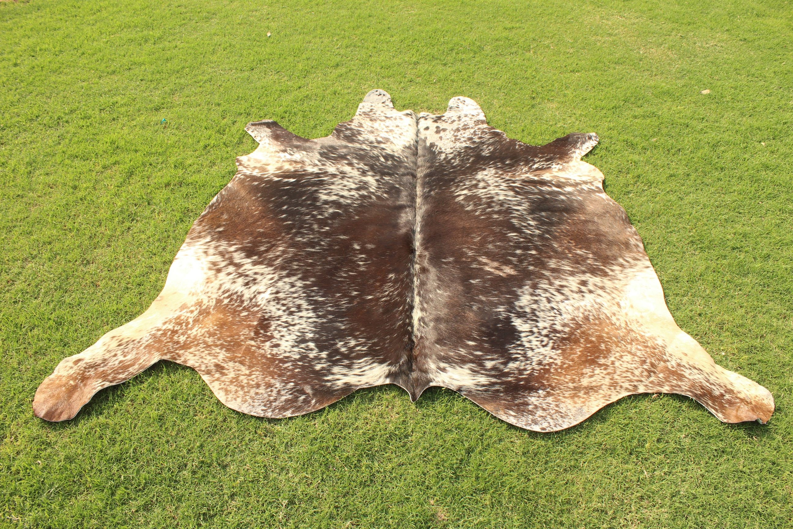 XL Cowhide Rug Amazing Tricolor Cowhide Rug Cow Skin Rug 6 x 6 Etsy