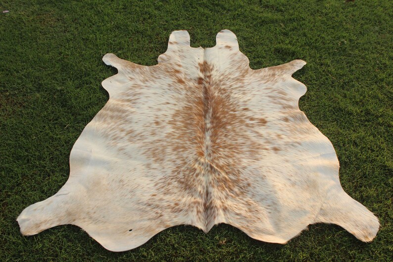 May include: A white cowhide rug with brown spots. The rug is laid out on a green grassy surface.