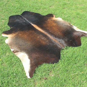 May include: A brown and white cowhide rug with a black stripe down the center. The rug is laid out on a green grassy surface.