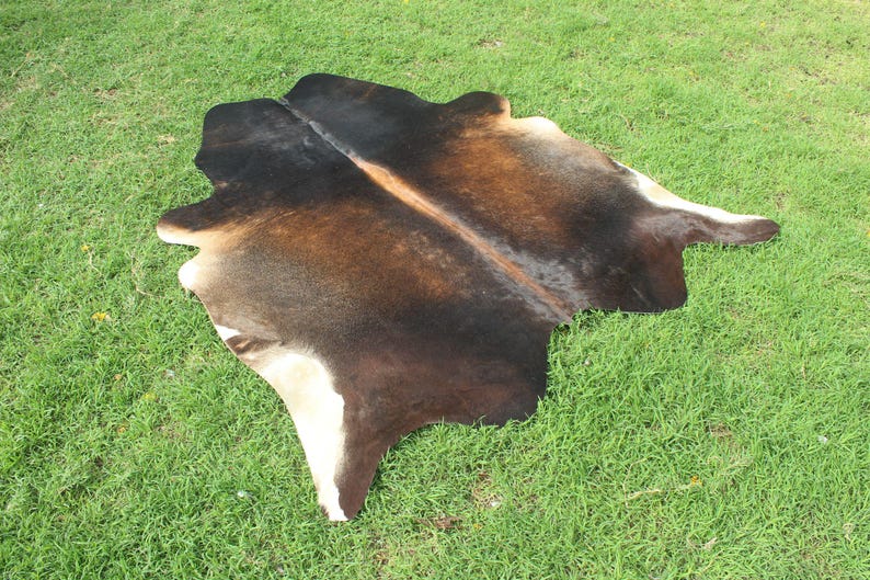 May include: A brown and white cowhide rug with a black stripe down the center. The rug is laid out on a green grassy surface.
