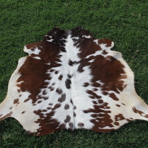 May include: A brown and white cowhide rug with a spotted pattern. The rug is laid out on a green grassy surface.