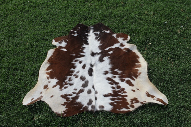 May include: A brown and white cowhide rug with a spotted pattern. The rug is laid out on a green grassy surface.