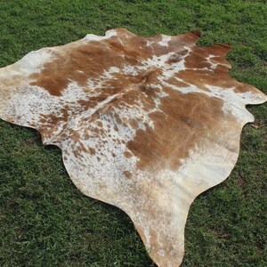 May include: A brown and white cowhide rug with a natural, spotted pattern. The rug is laid out on a green grassy surface.