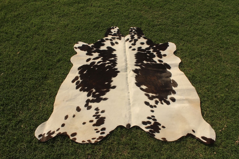 Medium Cowhide Rug Black and White Cow Skin Rug Cow Hide Area Etsy