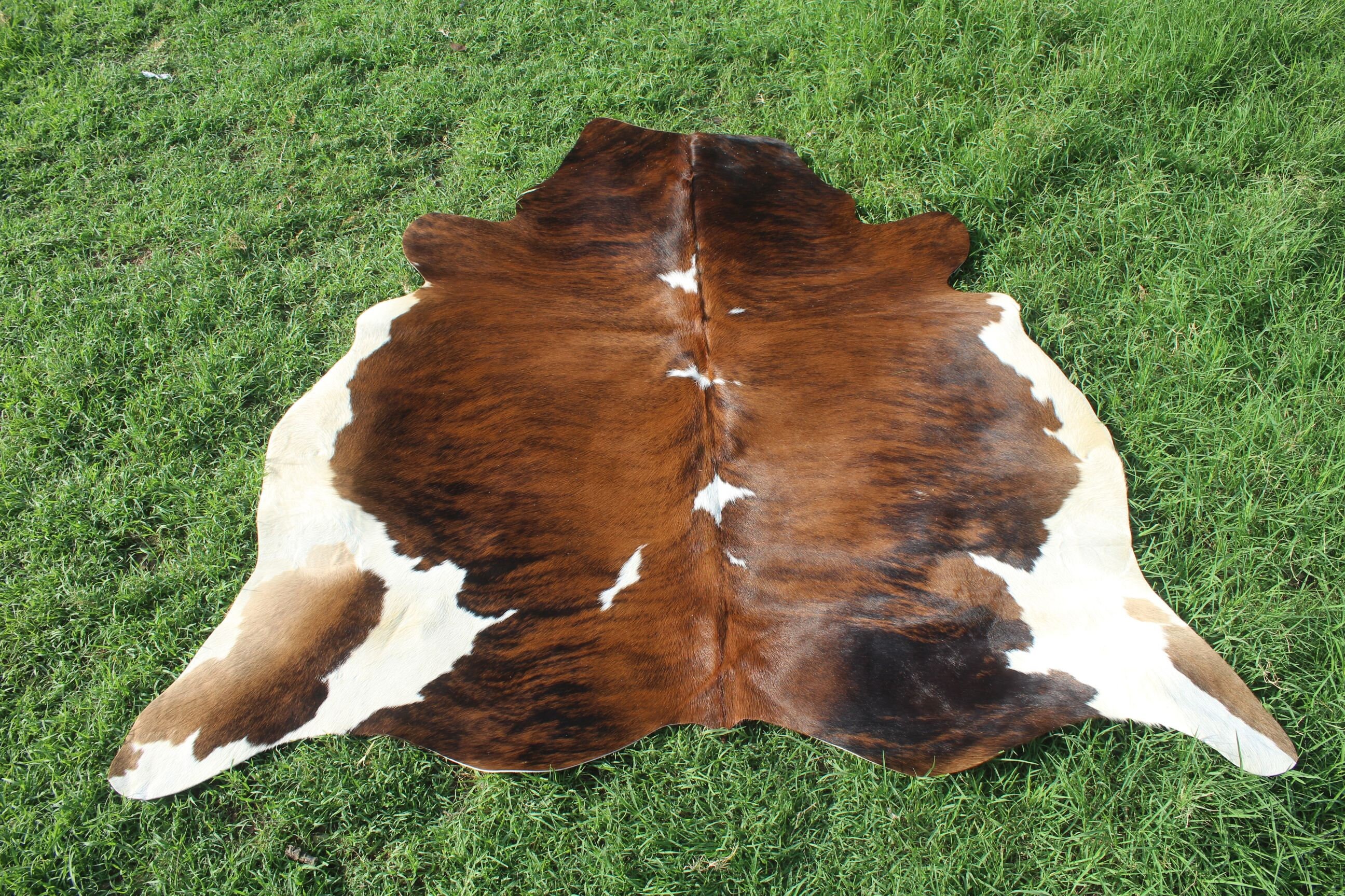Tricolor Brindle Cowhide Rug Brazilian Brindle Cow Skin Rug Etsy