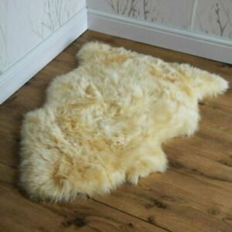Set of 2 Genuine Real Australian Sheepskin Rug Champagne Etsy