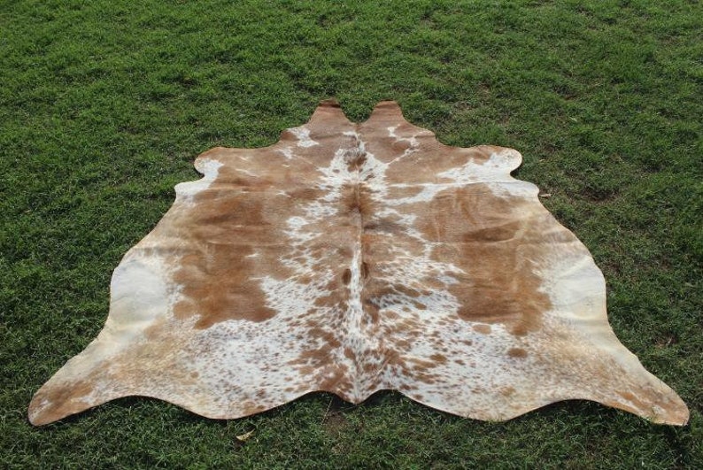 May include: A brown and white cowhide rug with a natural, spotted pattern. The rug is laid out on a green grassy surface.