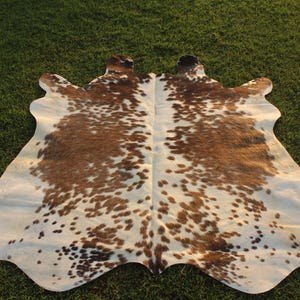 May include: A white and brown cowhide rug with a spotted pattern. The rug is laid out on a green grassy surface.