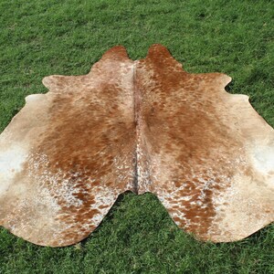 May include: A brown and white cowhide rug with a spotted pattern. The rug is laid out on a green grassy surface.