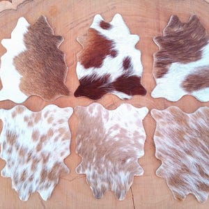 Cowhide Coasters Leather Coasters Genuine Cowhide Coasters Pack of 6