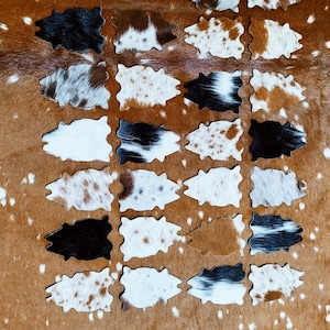 Assorted Cowhide Coasters Mini Cowhide Coasters Real Leather Tea Coasters Set of 6