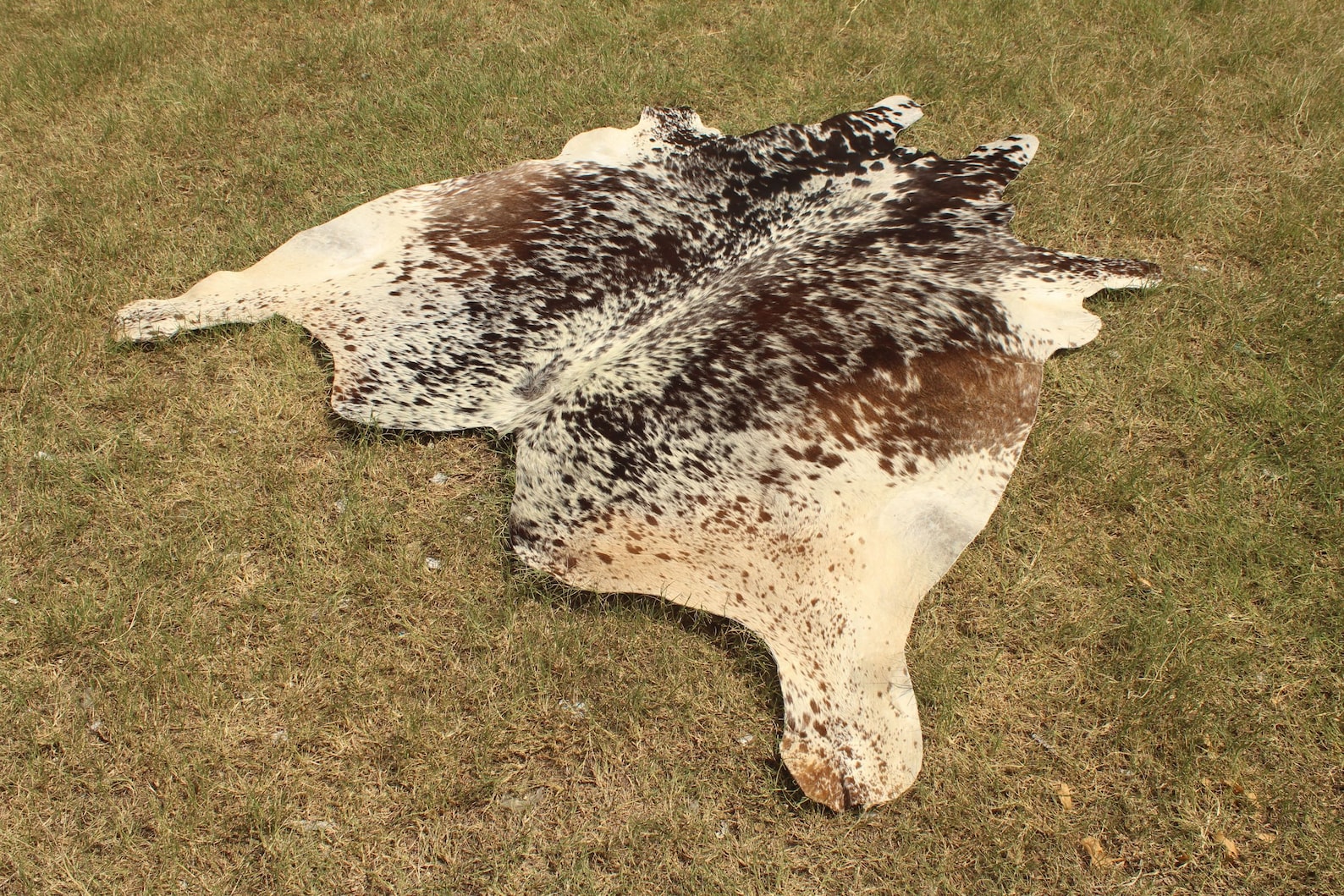 Amazing Tricolor Cowhide Rug Tricolor Cow Skin Rug Cow Hide Etsy