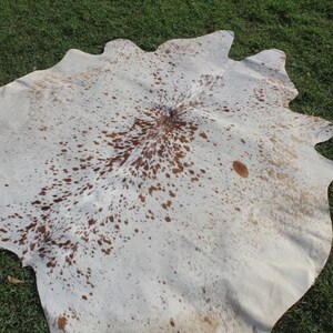 May include: A white cowhide rug with brown spots. The rug is laid out on a green grassy surface.