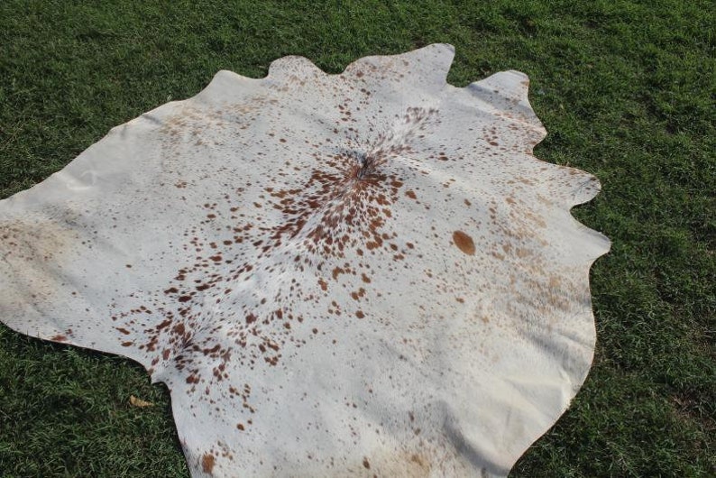 May include: A white cowhide rug with brown spots. The rug is laid out on a green grassy surface.