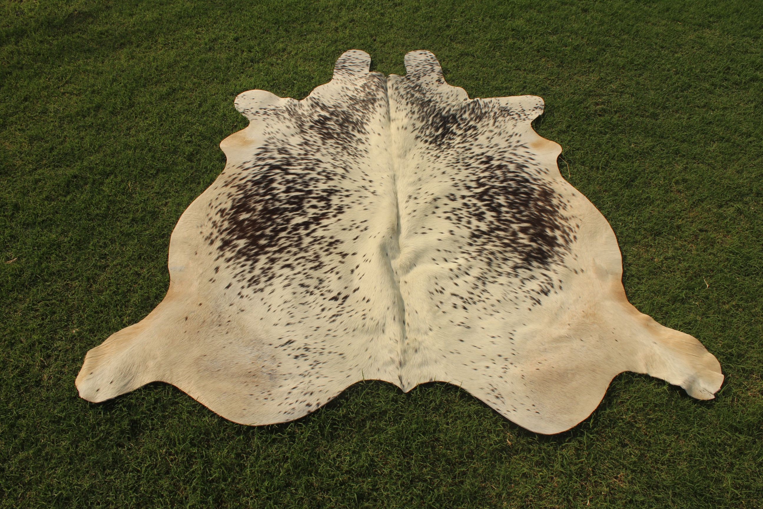 Tricolor Cowhide Rug Brazilian Cow Skin Rug Medium Cow Hide Area Rug 5 ...