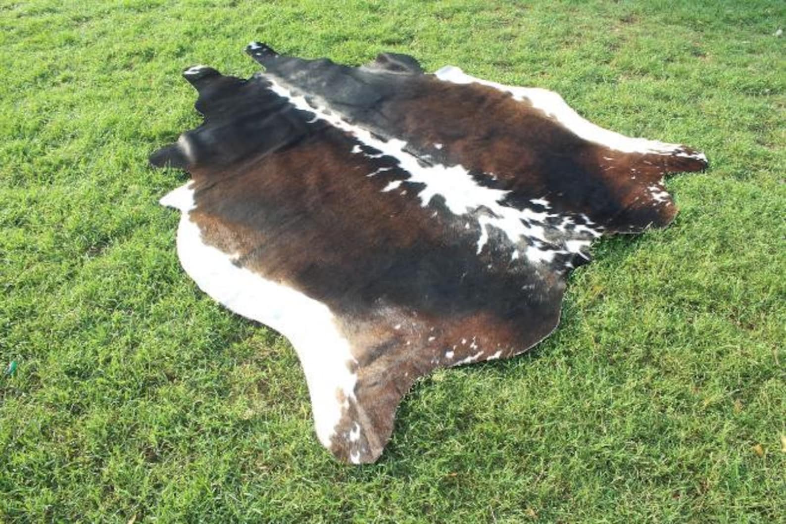 XL Cowhide Rug Amazing Tricolor Cowhide Rug Cow Skin Rug 6 X 6 Etsy