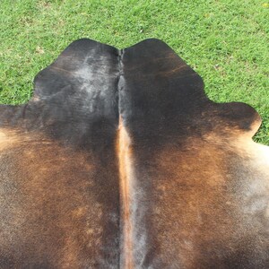 May include: A brown and black cowhide rug with a natural, rustic look. The hide is folded in half, showing the natural grain and texture of the leather.
