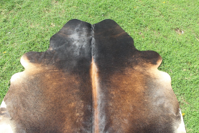 May include: A brown and black cowhide rug with a natural, rustic look. The hide is folded in half, showing the natural grain and texture of the leather.