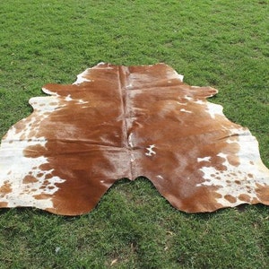 May include: A brown and white cowhide rug with a natural, irregular shape. The hide is soft and supple, with a rich brown color and white markings.