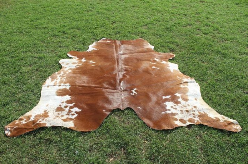 May include: A brown and white cowhide rug with a natural, irregular shape. The hide is soft and supple, with a rich brown color and white markings.