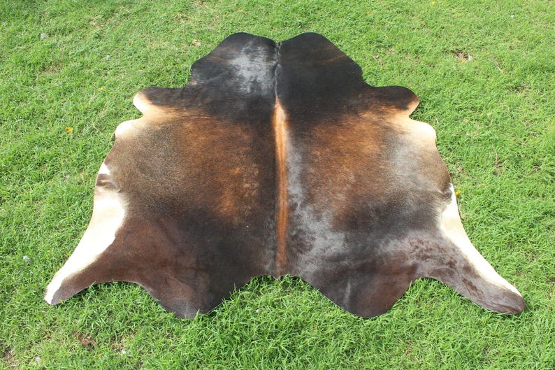 May include: A brown and white cowhide rug with a natural, mottled pattern. The rug is laid out on a green grassy surface.