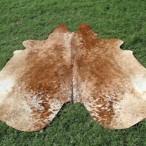 May include: A brown and white cowhide rug with a spotted pattern. The rug is laid out on a green grassy surface.