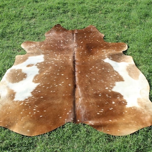 Deer Look Cowhide Rug Spotted Most Exotic Cow Skin Rug Cow Hide Floor Rug 5 x 5.5 One And Only As Picture