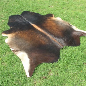 May include: A brown and white cowhide rug with a black stripe down the center. The rug is laid out on a green grassy surface.
