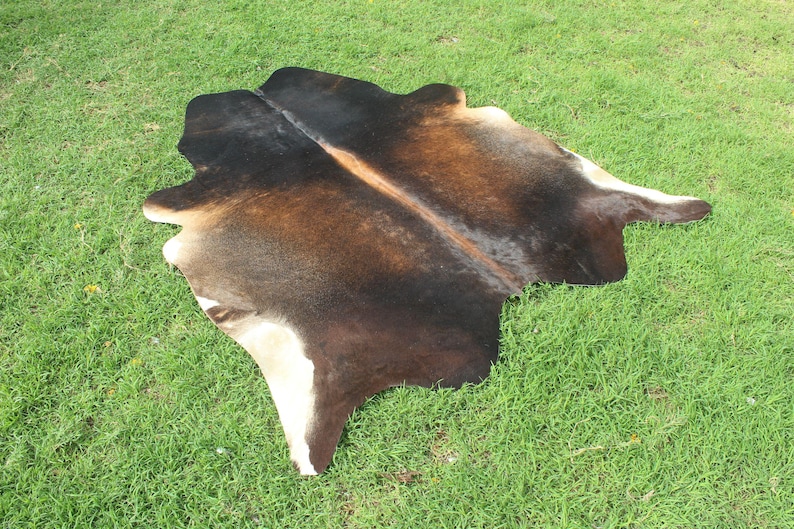 May include: A brown and white cowhide rug with a black stripe down the center. The rug is laid out on a green grassy surface.