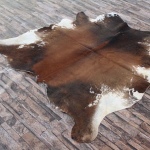 May include: A brown and white cowhide rug with a natural, rustic look. The hide has a patchwork pattern of brown and white patches.