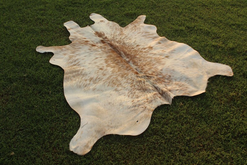 May include: A white and brown cowhide rug with a natural, spotted pattern. The rug is laid out on a green grassy surface.
