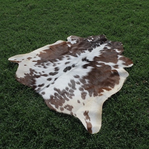 May include: A brown and white cowhide rug with a spotted pattern. The rug is laid out on a green grassy surface.