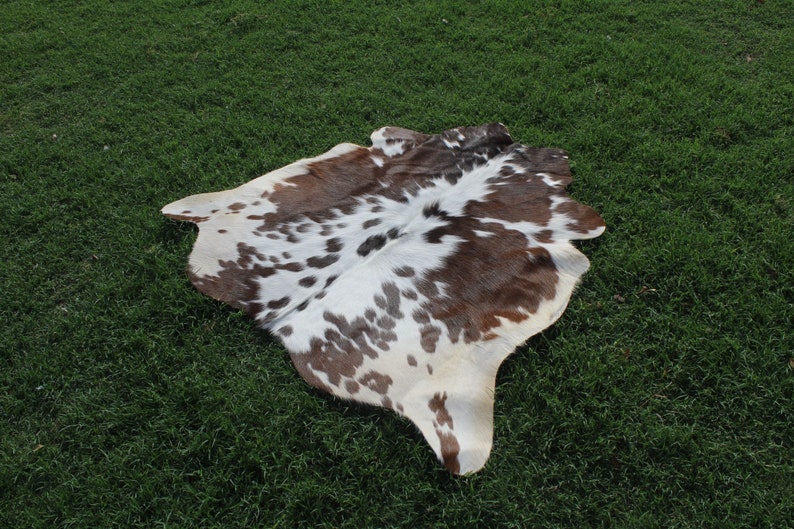 May include: A brown and white cowhide rug with a spotted pattern. The rug is laid out on a green grassy surface.