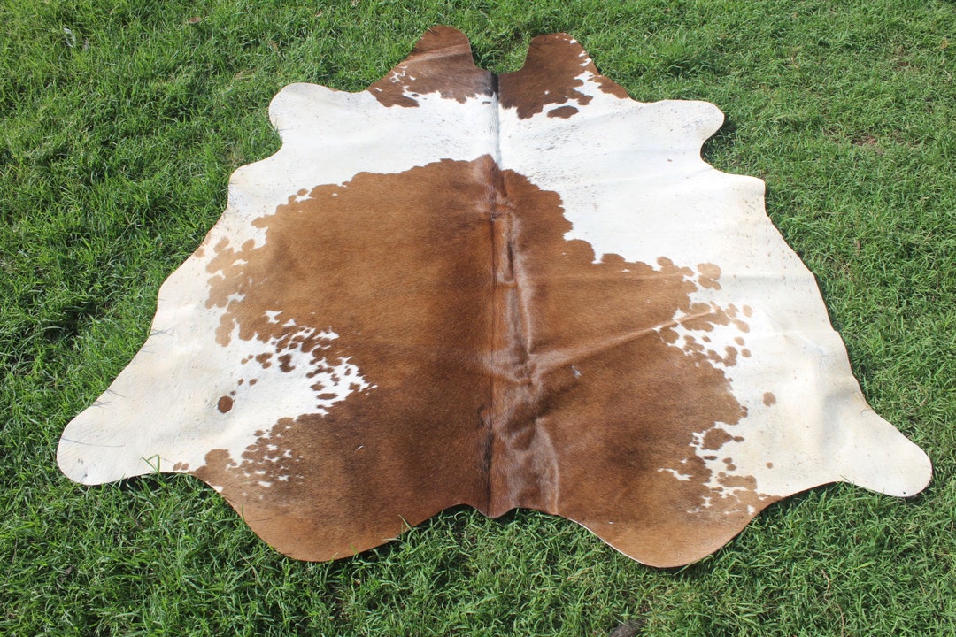 Amazing Brown and White Cowhide Rug Brown White Cow Skin Rug Etsy UK