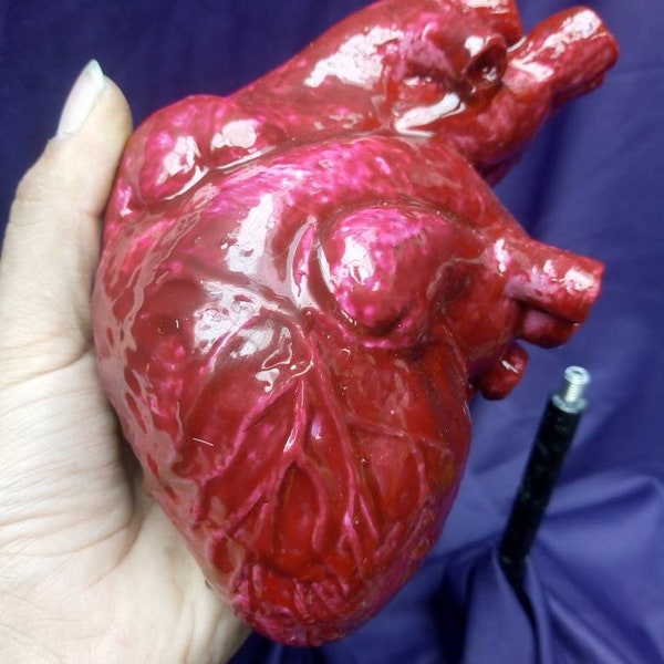 Real anatomic human heart realistic replica Halloween prop bloody life-size horror sculpture body part human organ, gore heart LARP