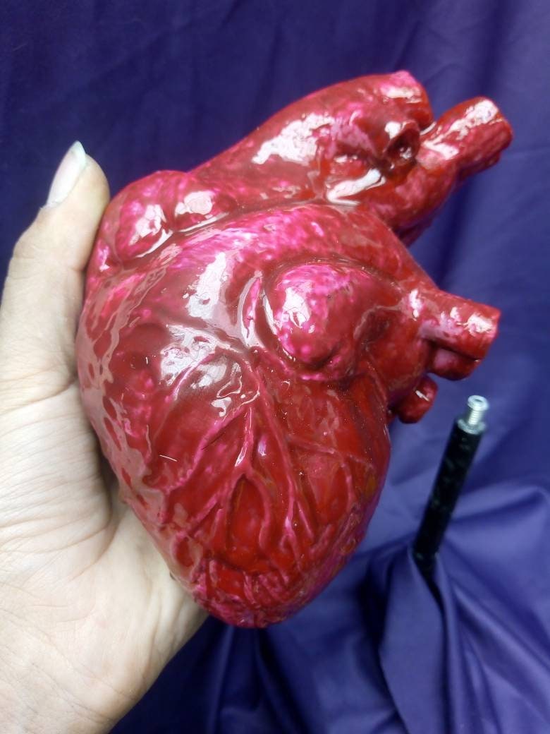 Real gore 本物の解剖学的人間の心臓のリアルなレプリカハロウィーンの小道具血まみれの等身大ホラー彫刻人体臓器の一部、ゴアハートLARP - Etsy 日本