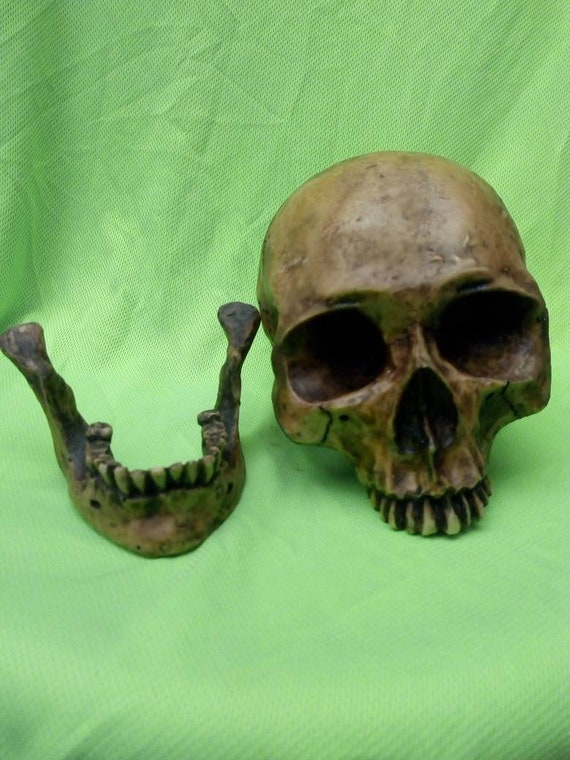 Human Skull Replica Realistic Size Halloween Decoration Life Model Resin Head 