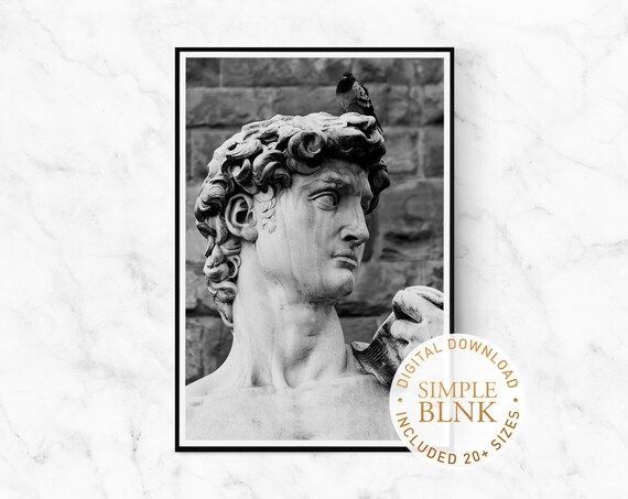 David Print David Statue Print Portrait Photography Statue | Etsy