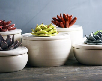 Custom Ceramic Bowls with Cactus Lids | Handmade Sugar Bowls, Trinket Boxes, and Jewelry Boxes